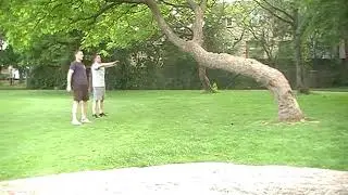 Health & Fitness Circuit In The Park #fitness #health #wellness