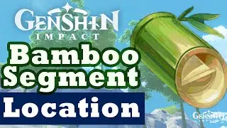 Bamboo Segments Location Genshin Impact