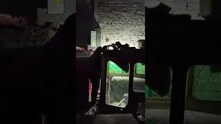 электрик Сакис