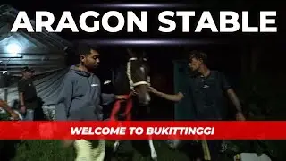 KUDA PACU ARAGON STABLE SALATIGA || WELCOME TO BUKITTINGGI || EVENT KEJURNAS SERI 1 SAWAHLUNTO 2023