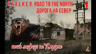 ☣️S.T.A.L.K.E.R. Road To The North (дорога на север )☣️часть 1☣️поиск медведя на Кордоне☣️