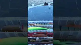 СУДАК НА КРУПНЫЙ СИЛИКОН НЕ КЛЮЁТ 🤣  ага только вот он об этом не знает