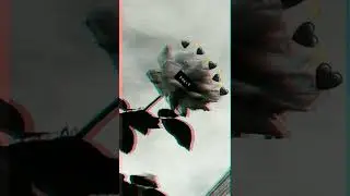 Smoke one remix