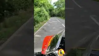 Bug Destroyer | Yamaha XSR900 GP