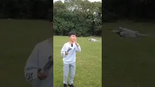 DJI Mini 3 pro obstacle avoidance! 