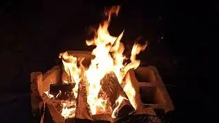 10 Minutes Of Firepit Footage Creative Commons | Mississippi Wildlife