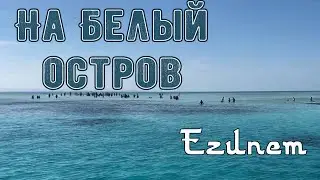 На белый остров. Отдых Египет.