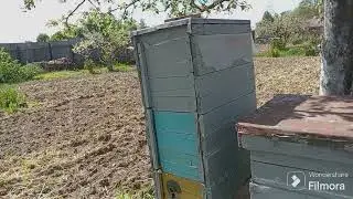 пчелоогородство 24