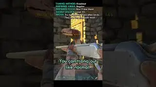 How to Tame a Terror Bird Fast Ark Beginner Guide #shorts