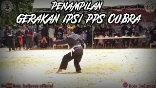 PENAMPILAN GERAKAN IPSI PPS COBRA || REUNI COBRA 2020