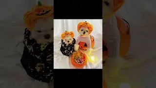 disfraz de Halloween para perros y gatos 💖 #amazon #tendenciaglobal #halloween