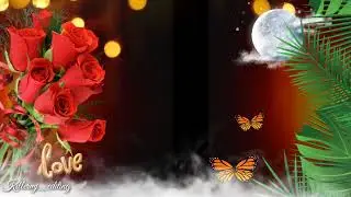 Nature Video Background/ Background Animation Effects/ Black Background Effects Video/ Vfx Video