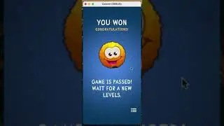 Colorer Game – Win-Screen