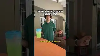 LIMONADA DE PIS DE PERRO
