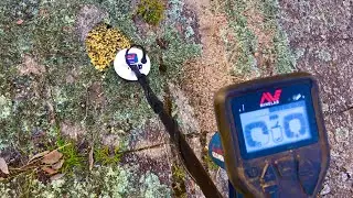FINDING more GOLD using the GOLD MONSTER 1000!