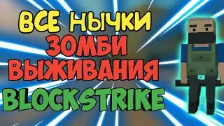 ВСЕ НЫЧКИ БЛОК СТРАЙК | Block Strike secrets