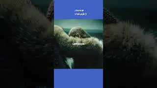 James Blake features are a cheat code