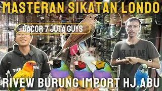 RIVEW BURUNG HIAS DAN KICAU IMPORT DI KIOS NYA HJ.ABU PASAR BURUNG PRAMUKA
