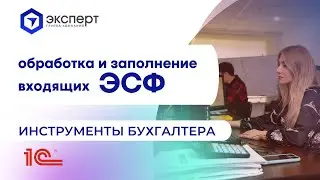 Обработка и заполнение входящих ЭСФ. Инструменты бухгалте<script data-cfasync=