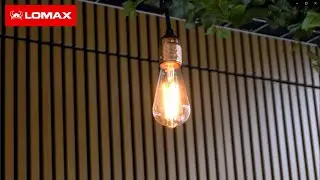 Hvad konsulenterne hos Lomax gjorde, når der opstod udfordringer
