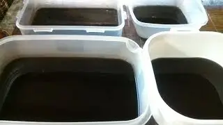 How to make Black Gulaman or Black Gelatin- Pink Angels Kitchen