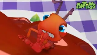 Mighty Meatball Mayhem | Antiks 🐜 | Funny Cartoons for Kids