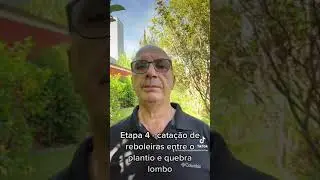Como manejar a grama seda em cana?