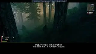 Valheim playing with MODS