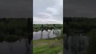 Посёлок Лемты, Республика Коми, Вуктыльский округ