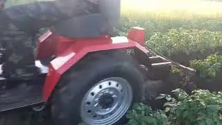 Окучивание картошки самодельным МТ
