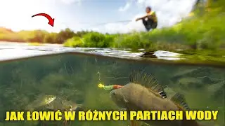 Jak łowić na konkretnej głębokości jeziora ?!
