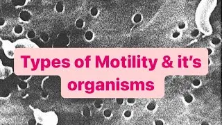 Types of Motility & their organisms - Microbiology || Mis.Medicine