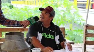 Pajarete, bebida con leche recién ordeñada 🐄🥛