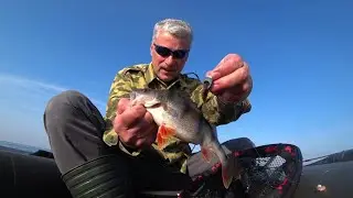 хорошая рыбалка на рутхлесс
