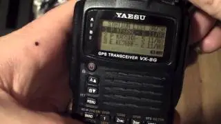VX-8GR Review