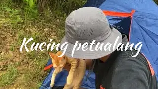 CAMPING IN THE FOREST WITH AN ORANGE CAT