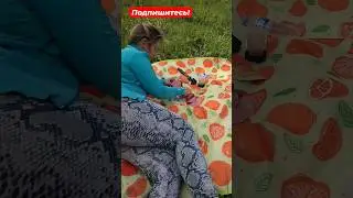 Пикник на природе