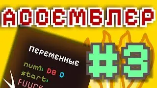 АССЕМБЛЕР с НУЛЯ #3 | Работа С ПЕРЕМЕННЫМИ в АССЕМБЛЕРЕ