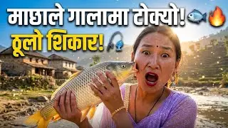 nepal's eastern central hilly rural areas. nepali real life. || organic fish catching video ||