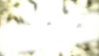 The Moon explodes