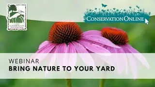 Bring Nature to Your Yard | Conservation@Home Webinar