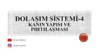 11. Sınıf Dolaşım Sistemi - 4 (Kanın Yapısı - Kanın Pıhtılaşma Mekanizması)