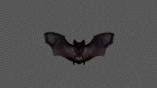 bat test