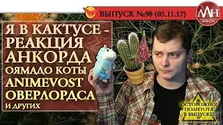 ЛЛН | Я В КАКТУСЕ - РЕАКЦИЯ АНКОРДА, ОЯМАДО КОТЫ, ANIMEVOST, ОВЕРЛОРДСА И ДРУГИХ
