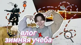 VLOG: учеба в Зингере (СПб) и «Картины в стихах»