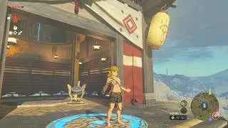 Links idle animations in tears of the kingdom