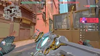 New Origin Vandal Inspect players be like...