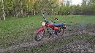 НОВАЯ ВНЕШКА ВИШНИ