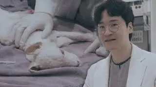I am a 0-point vet (Teddy closed his eyes for the first time since being hospitalized) - Teddy Part3