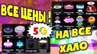 NEW! ВСЕ цены на ВСЕ 19 ХАЛО в роял хай! all prices for 19 halos in royal high